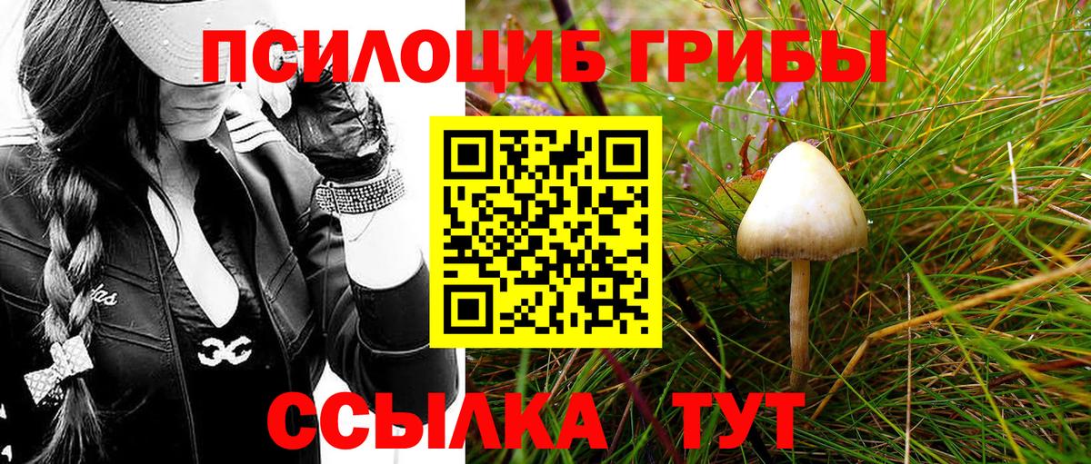 хочу   Галлюциногенные грибы Psilocybe  Вход с VPN  Псилоцибиновые грибы GOLDEN TEACHER  Орёл 
