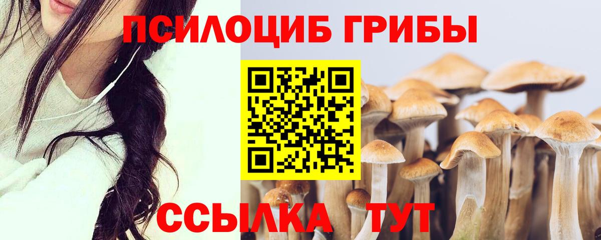 Псилоцибиновые грибы Cubensis Орёл